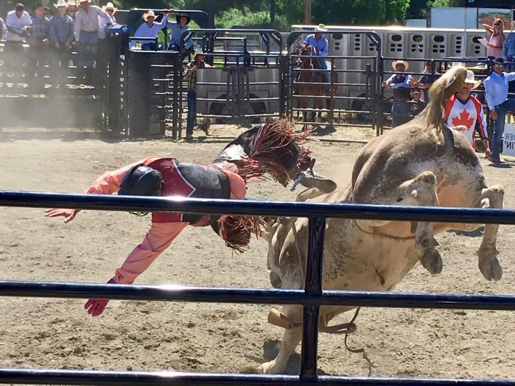 Najbardziej niebezpieczne sporty na świecie ujeżdżanie byków