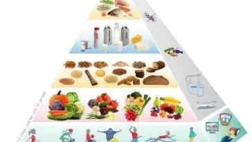 Potrzeby żywieniowe według Piramidy Żywienia