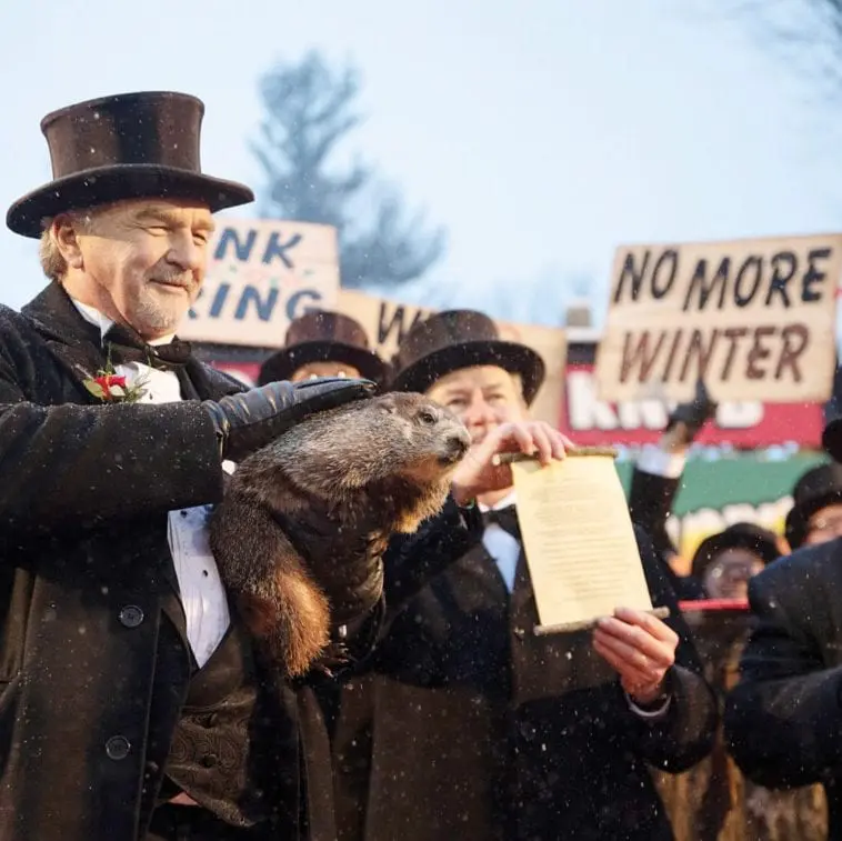 40 problemów Amerykanów, których Polacy nie rozumieją Amerykanie problemy