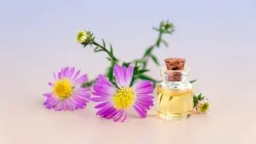 Olejki eteryczne i ich zdrowotne właściwości