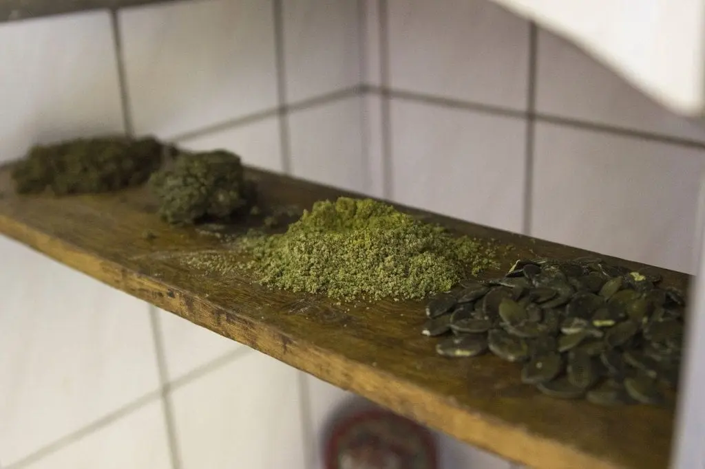 Dlaczego warto jeść pestki dyni? pestki dyni