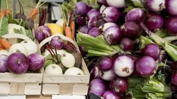 Duża ilość cebuli w koszu z warzywami.