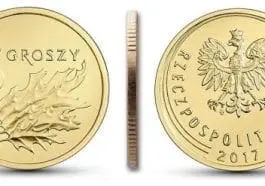 Wrzuć 5 groszy do doniczki i zobacz co się stanie