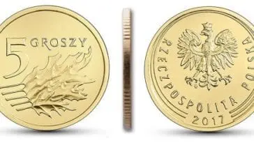 Wrzuć 5 groszy do doniczki i zobacz co się stanie