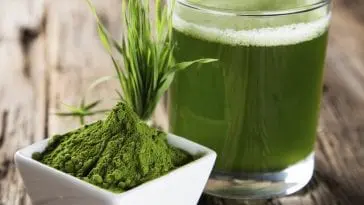 Spirulina, 5 powodów dla których musisz zacząć ją spożywać Rozpuszczone i sproszkowane algi morskie.