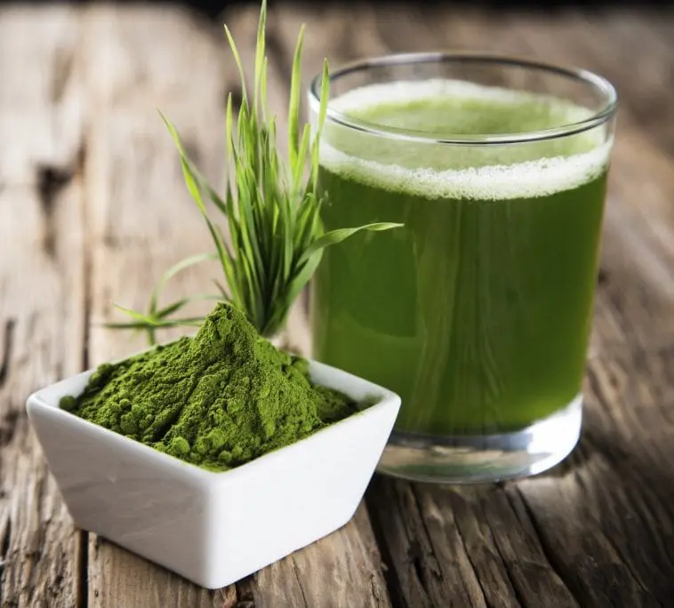Spirulina, 5 powodów dla których musisz zacząć ją spożywać Rozpuszczone i sproszkowane algi morskie.