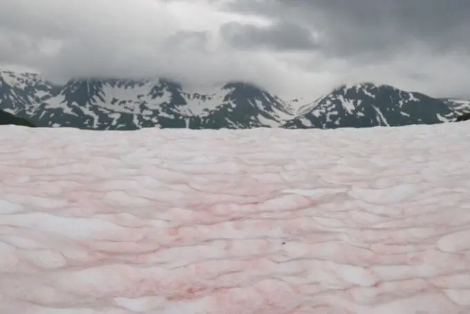 Ciekawostki geograficzne - czy istnieje Państwo we wnętrzu innego Państwa? Różowy śnieg w Sierra Nevada.