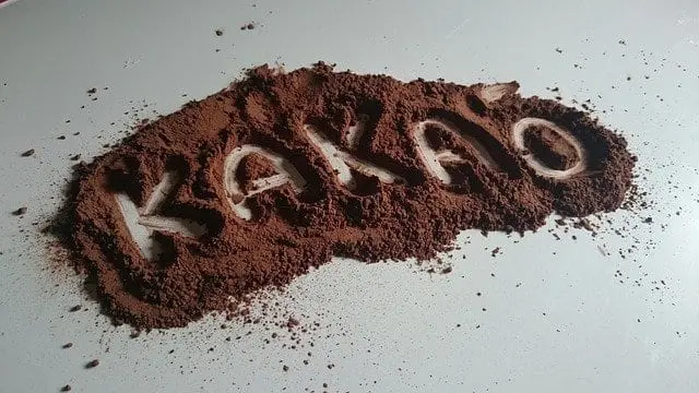 Kakao. 
