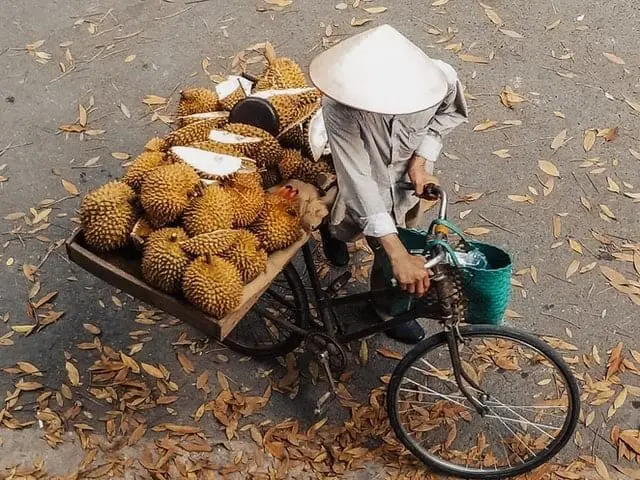 Mężczyzna, wiozący owoce na rowerze.