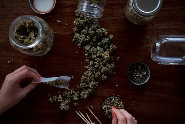 Po legalizacji marihuany widoczny jest wzrost sprzedaży lodów i ciastek. Badanie jest tego potwierdzeniem Marihuana powoduje wzrost sprzedaży kalorycznego jedzenia.