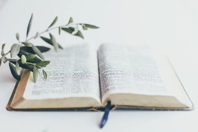 10 apokryfów, których nie ma w Biblii: co naprawdę zawierają zakazane ewangelie Księga z gałązką oliwną.