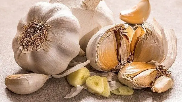 Chcesz wzmocnić swoją odporność? Zacznij to jeść! czosnek odporność