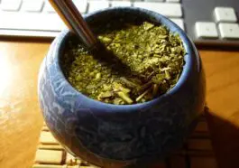 Jak zaparzyć yerba mate? Krok po kroku: temperatura, ilość suszu i ile zalań