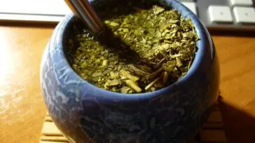 Jak zaparzyć yerba mate? Praktyczny przewodnik dla początkujących.