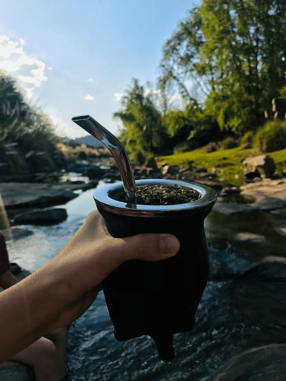 jak zaparzyć yerba mate