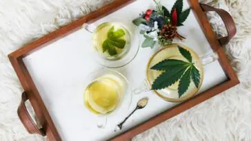 herbatka cannabis