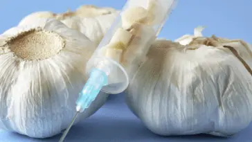 Główki czosnku i strzykawka z ząbkami czosnku jako symbol naturalnego antybiotyku
