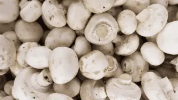 Sałatka z pieczarkami: 3 sprawdzone przepisy krok po kroku Sałatka z pieczarkami