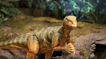 Niesowite odkrycie! Naukowcy odnaleźli skamieniałość embrionu dinozaura