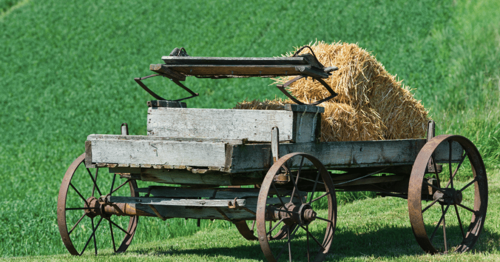 Sennik siano: Znaczenie Snów i Interpretacje Symboli