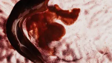 Czerwona plama na malowanym tle – symbolika snu o krwi