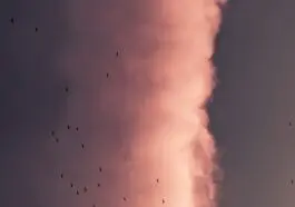 Sennik bomba atomowa: co oznacza sen o wybuchu?