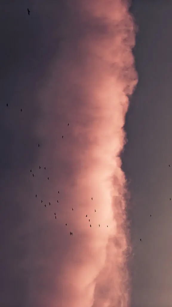 Sennik bomba atomowa – co oznacza sen o wybuchu?