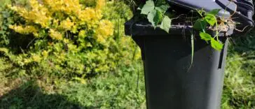 Urzędnik zapuka do furtki i zajrzy za dom. Wrzesień to szczyt sezonu kontroli kompostowników