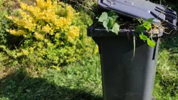 Urzędnik zapuka do furtki i zajrzy za dom. Wrzesień to szczyt sezonu kontroli kompostowników