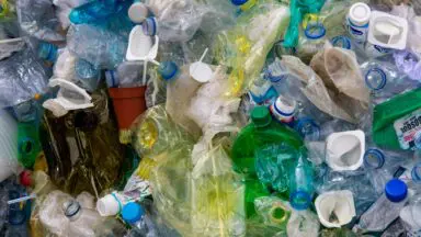 Puste plastikowe butelki PET przygotowane do zwrotu w systemie kaucyjnym