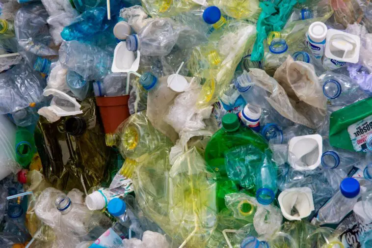 Dwie identyczne butelki stoją obok siebie, a tylko jedna jest warta 50 groszy. Rozstrzyga znaczek wielkości paznokcia Puste plastikowe butelki PET przygotowane do zwrotu w systemie kaucyjnym
