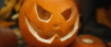 Wydrążona dynia z wyciętą twarzą wśród dyń, symbol Halloween