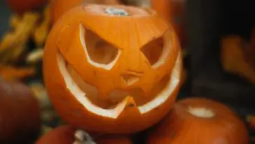 Wydrążona dynia z wyciętą twarzą wśród dyń, symbol Halloween