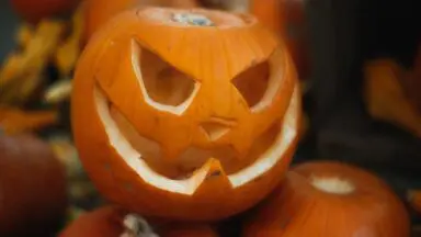 Wydrążona dynia z wyciętą twarzą wśród dyń, symbol Halloween