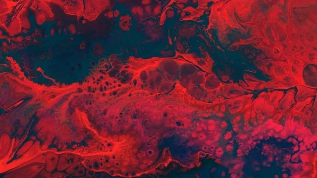 20 powodów dla których warto pokochać ogórki kiszone 20 powodów dla których warto pokochać ogórki kiszone