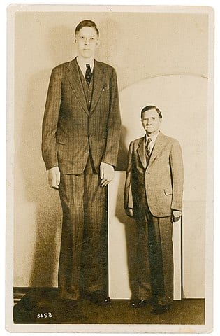 Najwyższy człowiek na świecie to prawie 3 metrowy gigant!