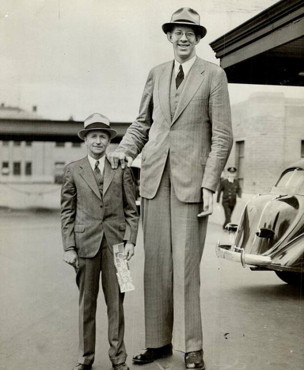 Wysoki człowiek