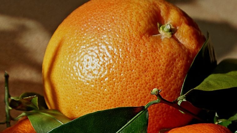 Właściwości pomarańczy, które mogą zdziałać cuda w twoim organizmie!