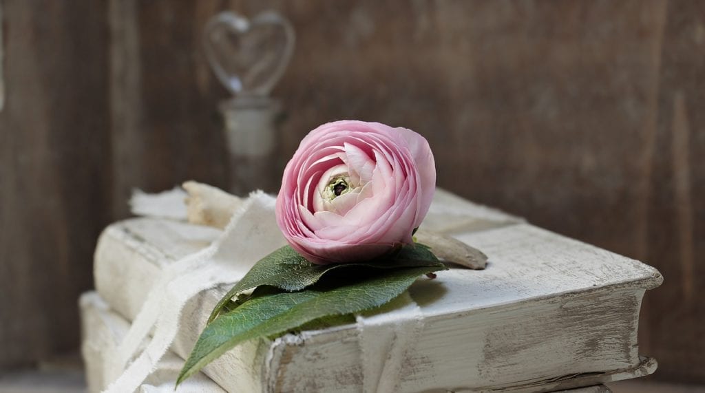 Biała książka z różowym kwiatkiem
