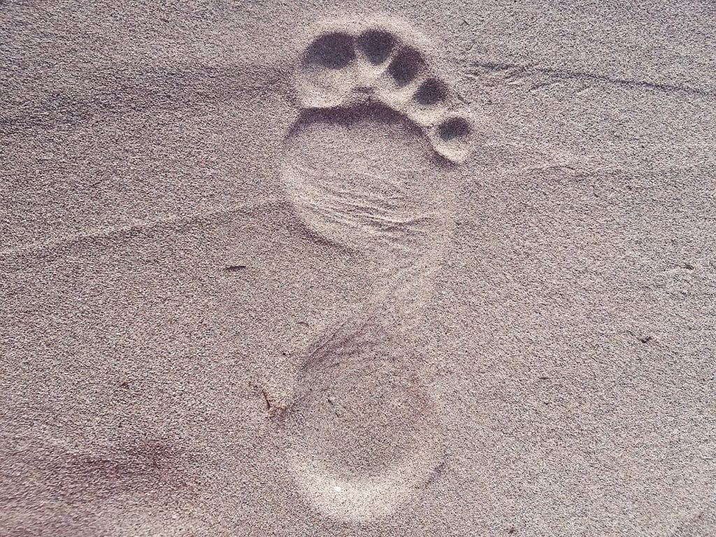 odcisk stopy na piasku