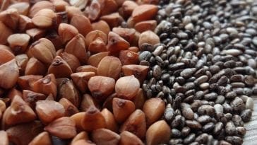 Dlaczego warto jeść pestki dyni?
