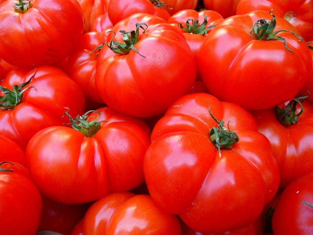 czerwone pomidory z szypułkami