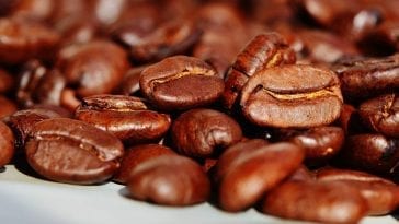 Top 10: najdroższe kawy na świecie