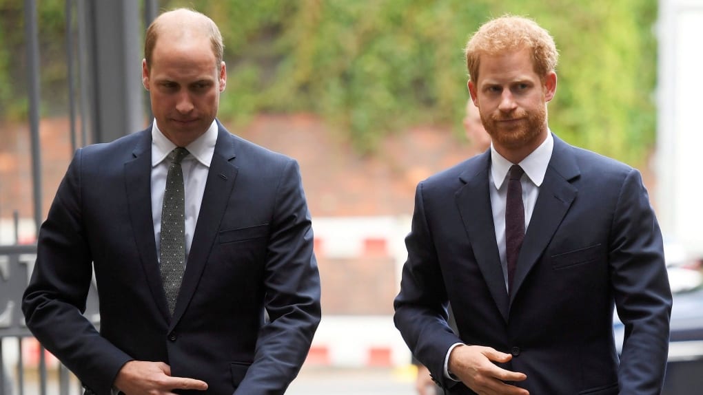 Członkowie rodziny królewskiej - po lewej William a po prawej Harry. 