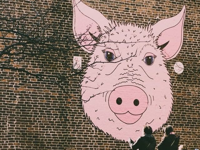 Chiński Nowy Rok - barwna tradycja i huczne wydarzenie Graffiti jednego z chińskich znaków zodiaku - świnia.