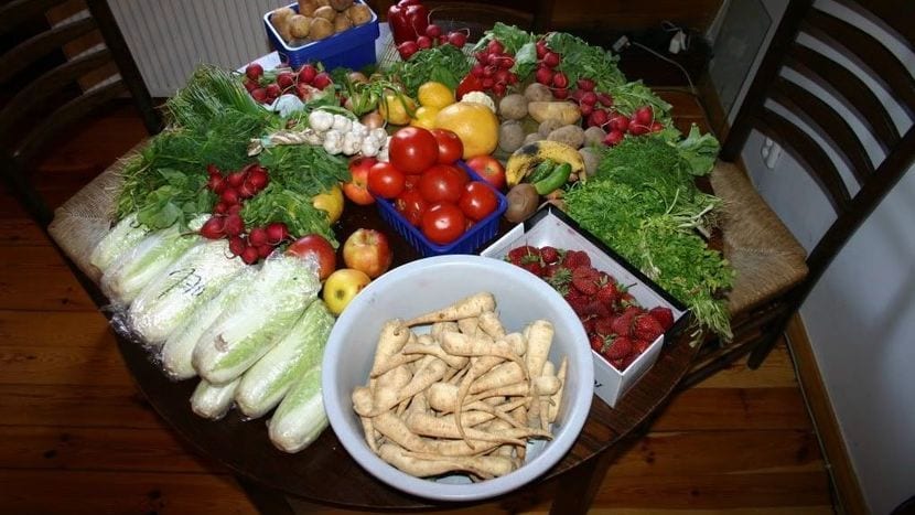 Warzywa i owoce zebrane przez freegan. 