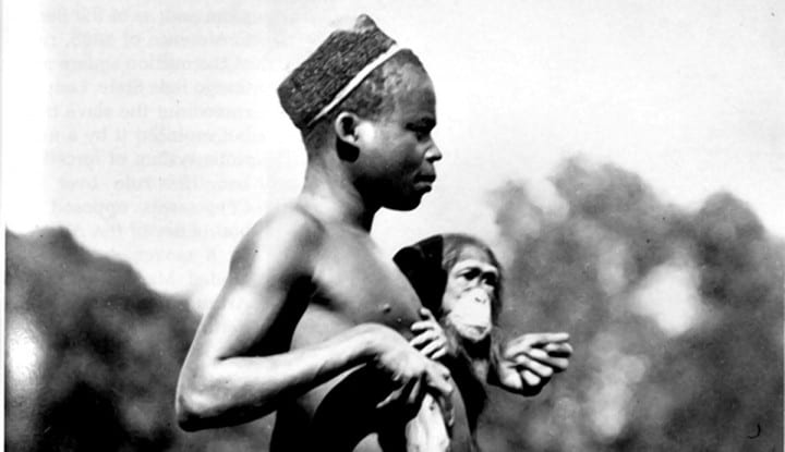 Ota Benga, trzymający małpę. 