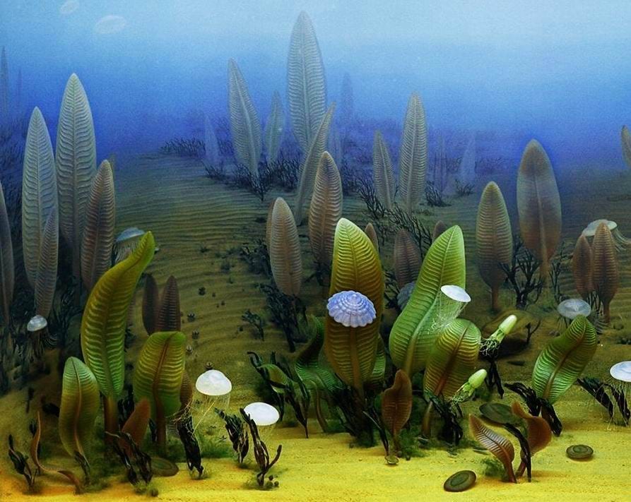 Podwodny świat sprzed milionów lat - grafika. 