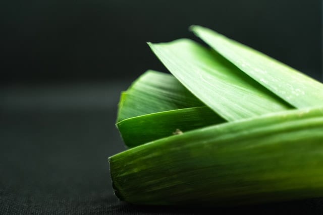 10 produktów, które ratują naszą wątrobę przez zniszczeniem Por.