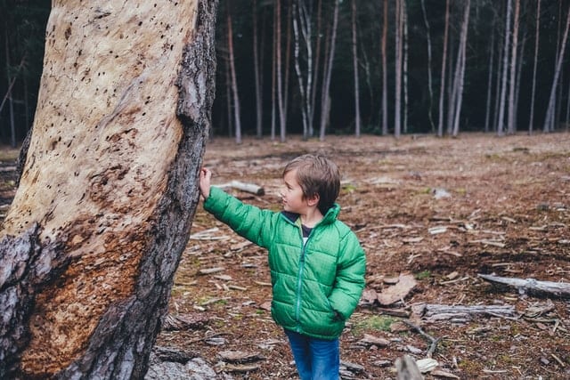 Syndrom Piotrusia Pana - zagrożenie dla mężczyzn Dziecko bawiące się obok drzewa.
